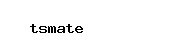 trans.tsmate.com
