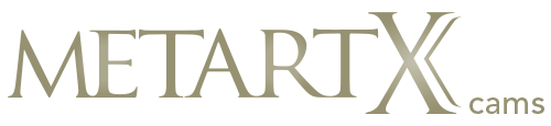 metartxcams.com