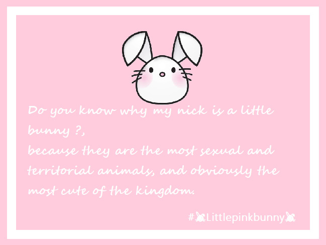 LittlePinkBunnny