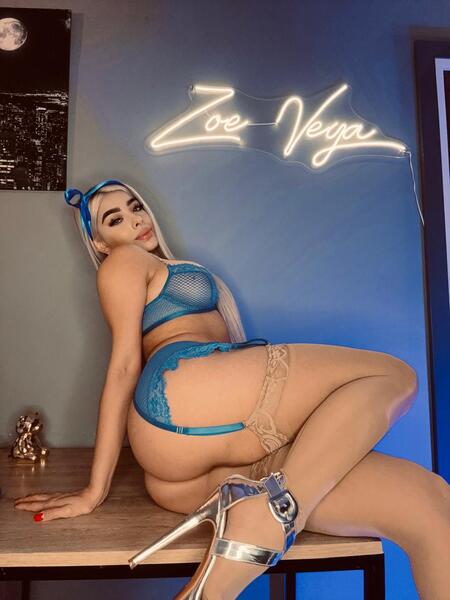ZV_Model