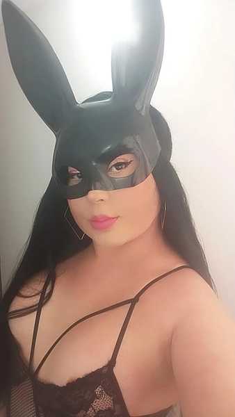 shenoarose's profile picture