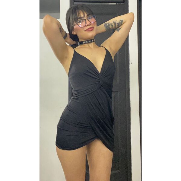 dakotacollyas's profile picture