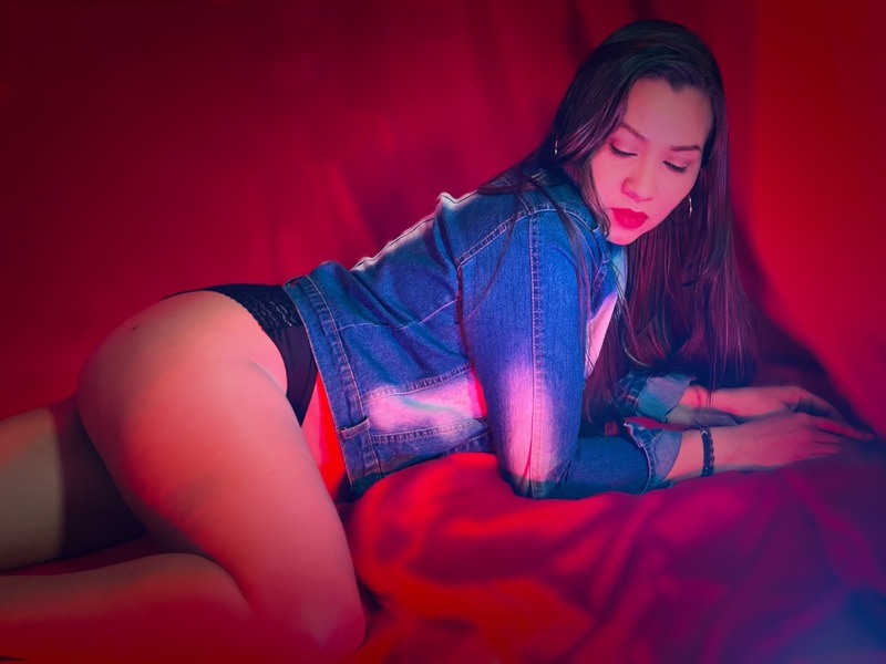StefyZea