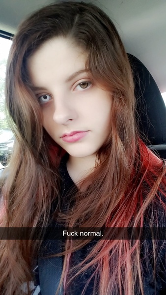 litvixen's profile picture