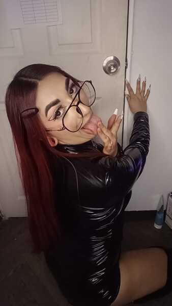 VenusDollce