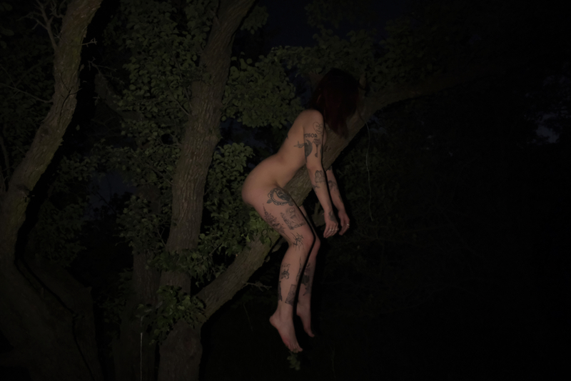 sinsemilla86's profile picture