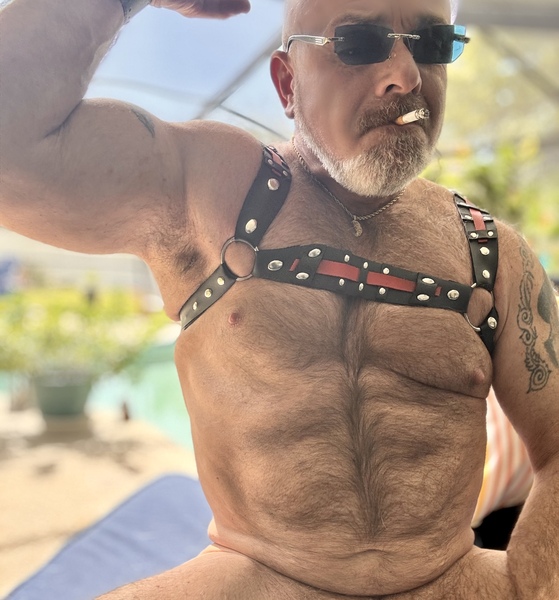 thickddydic's profile picture