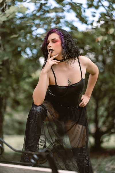 angellfox's profile picture