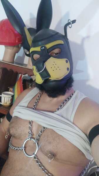 Bobbykbrera