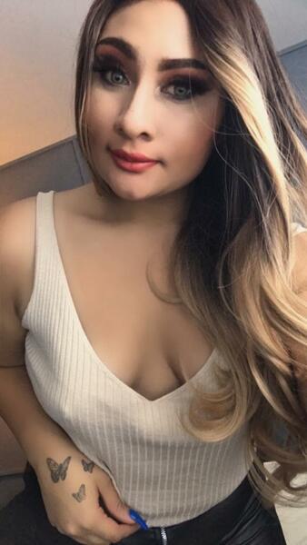 shiararussi's profile picture