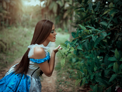 Model profile
