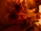 Mon_amour_chaos